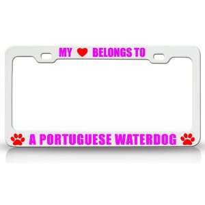  MY HEART BELONGS TO A PORTUGUESE WATERDOG Dog Pet Steel 