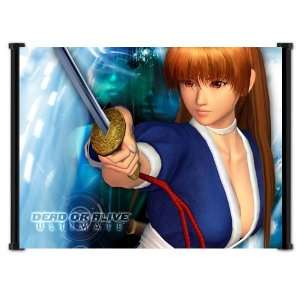  Dead or Alive Game Fabric Wall Scroll Poster (21x16 