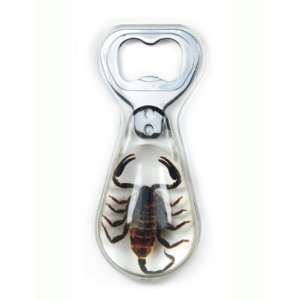 Real Insect Bottle Opener Black Scorpion (clear,big)