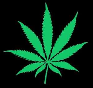 Marijuana T Shirt Cannabis Weed Leaf Pot Cool Funny Bud  