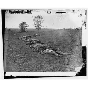  Civil War Reprint Antietam, Md. Bodies of Confederate dead 