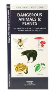   American Species by James Kavanagh, Waterford Press Ltd.  Paperback