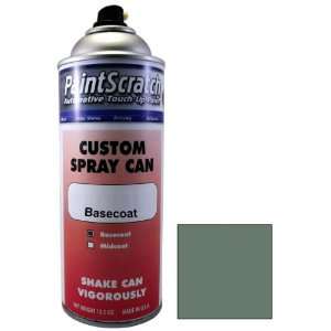  12.5 Oz. Spray Can of Alto Grey (matt) Metallic Touch Up 