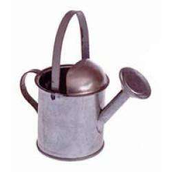 50 Galvanized Metal Watering Can Wedding Showers Favors  
