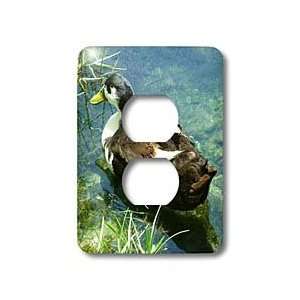  Florene Ducks   Pretty Mix   Light Switch Covers   2 plug 