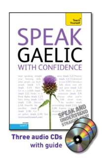   Teach Yourself Gaelic Dictionary by Boyd Robertson 
