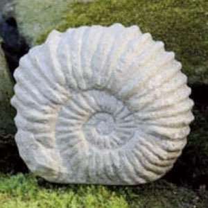  Campania Cast Stone Statue   Ammonite Artifact   Natural 