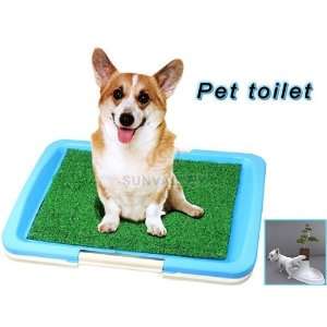   included  Great Pet Training Behavioral Tool   Green