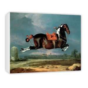  The piebald horse Cehero rearing by   Canvas   Medium 