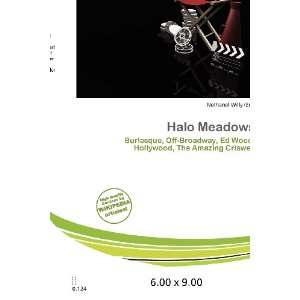  Halo Meadows (9786200672162) Nethanel Willy Books