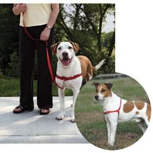  Easy Walk Harness   Red and Cranberry Small