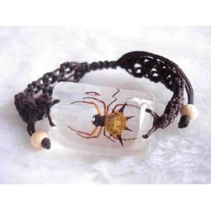  Real Spiny Spider Lucite Bracelet 