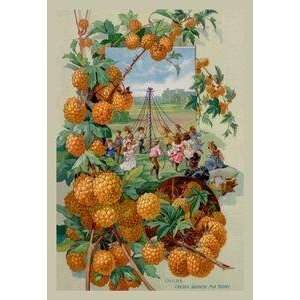  Vintage Art Childs Golden Japanese May Berry   13434 8 