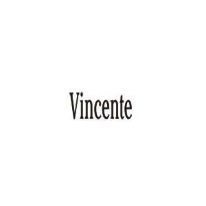  Vincente Laser Name Italian Charm Link Jewelry