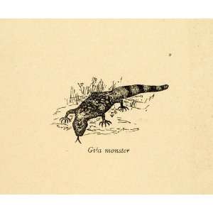   Venomous Lizard Colorado Desert   Original Engraving