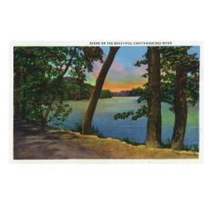 Georgia, Scenic View on the Chattahoochee River Travel Premium Poster 