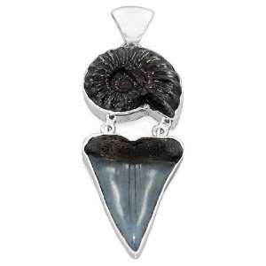   Natural Shark Tooth Black Peru Vian Ammonite Pendant Jewelry Jewelry