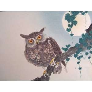  JAPANESE ART OWL B675C CROSS STITCH CHART