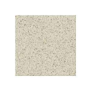   7573512 Parchment Paper Horizon Desert Palm Sandstone Carpet Flooring