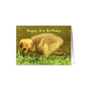  Birthday / Child 3rd / Gosling Chick Card Toys & Games