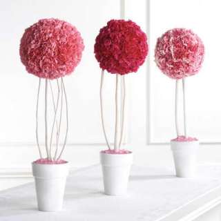 example of use carnation topiary s made with a medium size wet sphere