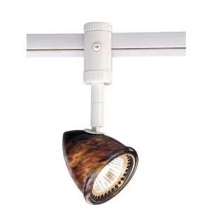  Vaxcel International Lighting Spot Light