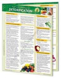 Raw Foods Vegetarianism – Laminated Info  6 Chart Pack  