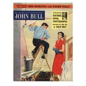John Bull, Expressions DIY Decorating Wallpapering Angry Frustration 