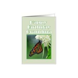 Happy Birthday Grandma Monarch Butterfly on White Milkweed Flower Card
