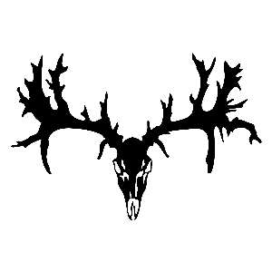 Deer Skull 5 inch HOT PINK Decals Buck Hunting Stickers  