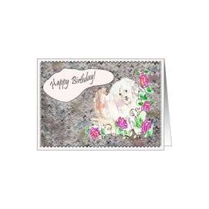  Happy Birthday White shaggy dog Card Health & Personal 