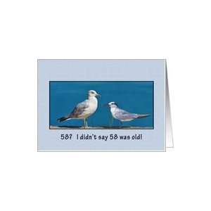  Birthday, 58th, Gull and Tern Birds Card Toys & Games