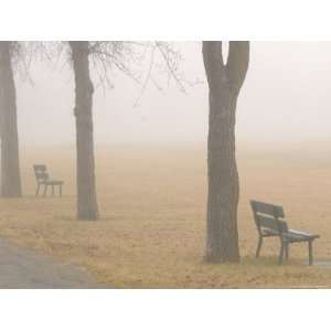  Autumn Fog in Assiniboine Park, Winnipeg, Manitoba 