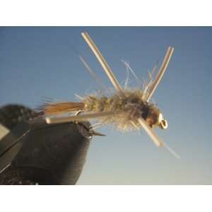 Tungsten Nymphhead Hares Ear Rubber Legs  Sports 