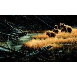  Yellowstone Grizzlies Poster Print