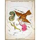 delphinus sagitta aquila antinous constellation sign 17x23 returns 