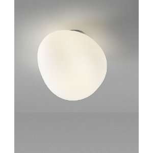  Gregg Wall or Ceiling Light Size Small