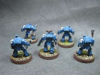 40K DPS Painted Ultramarines Terminator CC Squad CH263  