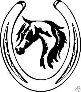 Arabian Horse Head Shoe Equestrian Trailer Decal 10.8  