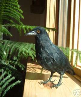 raven, goth items in furry animal replica 