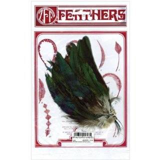  feathers for craft   Arts, Crafts & Sewing