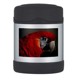 Thermos Food Jar Scarlet Macaw   Bird 