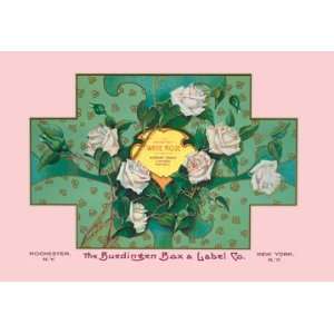  White Rose Soap 24X36 Giclee Paper