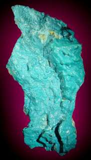 XL11 Shiny Turquoise Blue Botryoidal CHRYSOCOLLA Congo  