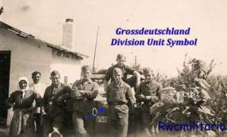 RARE GROSSDEUTSCHLAND Division Men w/ Marked SdKfz.251 