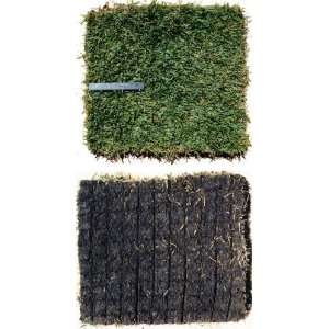  Meyer Zoysia Grass Plugs/ Fully Cut Patio, Lawn & Garden