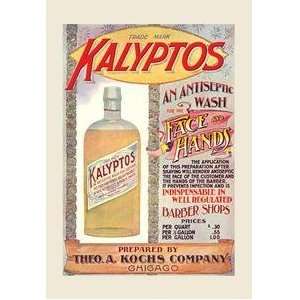   Kalyptos Antiseptic Wash for Barber Shops   04553 1