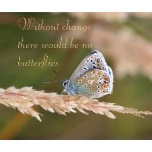  Without Change Butterflies Mousepad