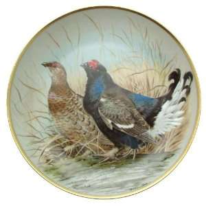   of the World Basil Ede Black Grouse plate CP1880
