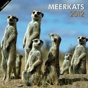  2012 Meerkat Calendar